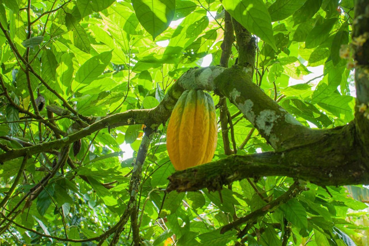 Welfare Agroturismo Milagrosa Luaran gambar